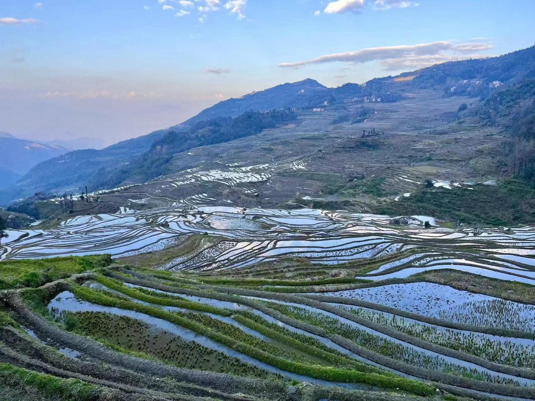 Yuanyang Flower And Horse Inn Kültér fotó